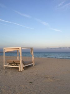 pexels-mone-kostner-484319678-29592614